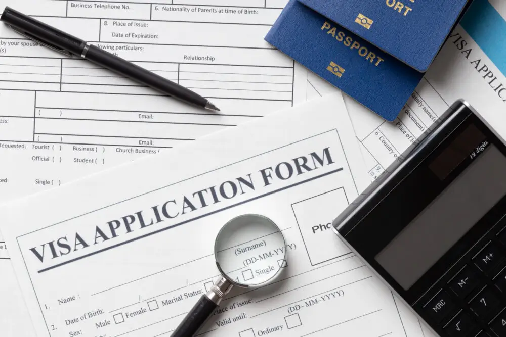 Partner 820 visa application form