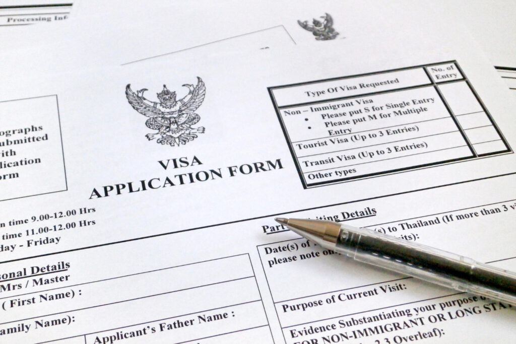 482 visa application form