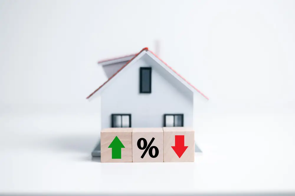 Variable interest rate loans