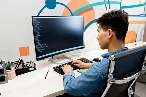 IT professional